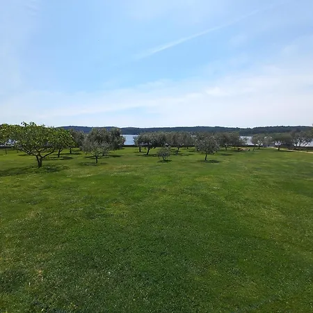 House Ive, House Beta - A Romantic Hideaway In An Olive Grove By The Sea, Fenced With Privacy, Swimming Pool, Jacuzzi And Playground, Pomer פולה